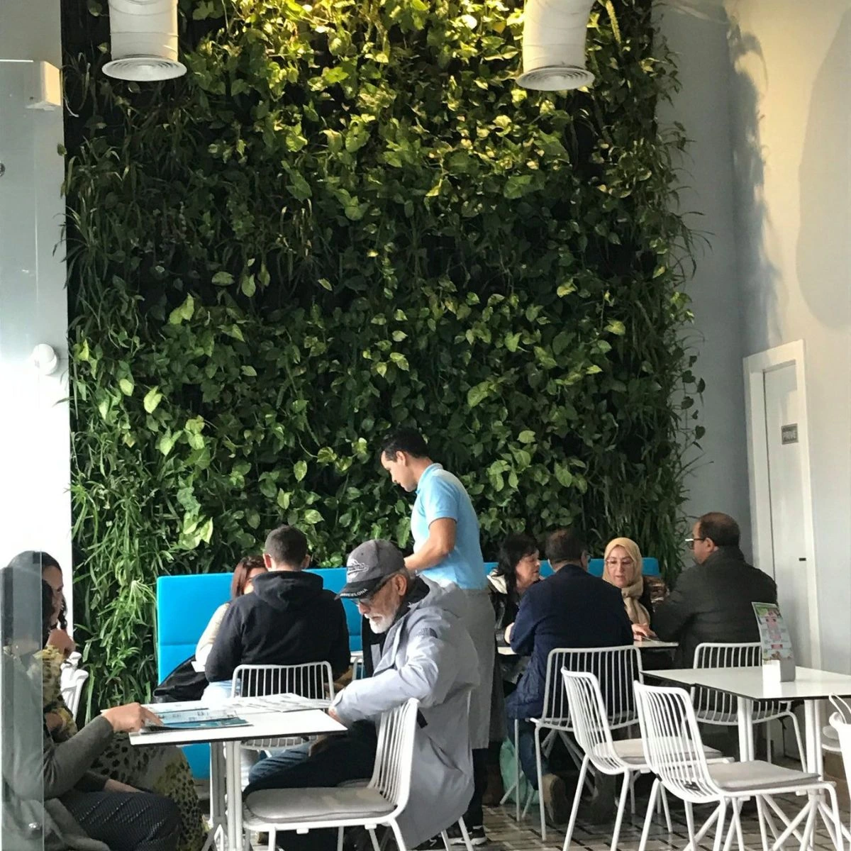 Murs Végétaux Naturel autonome à Marrakech - Botanica Maroc