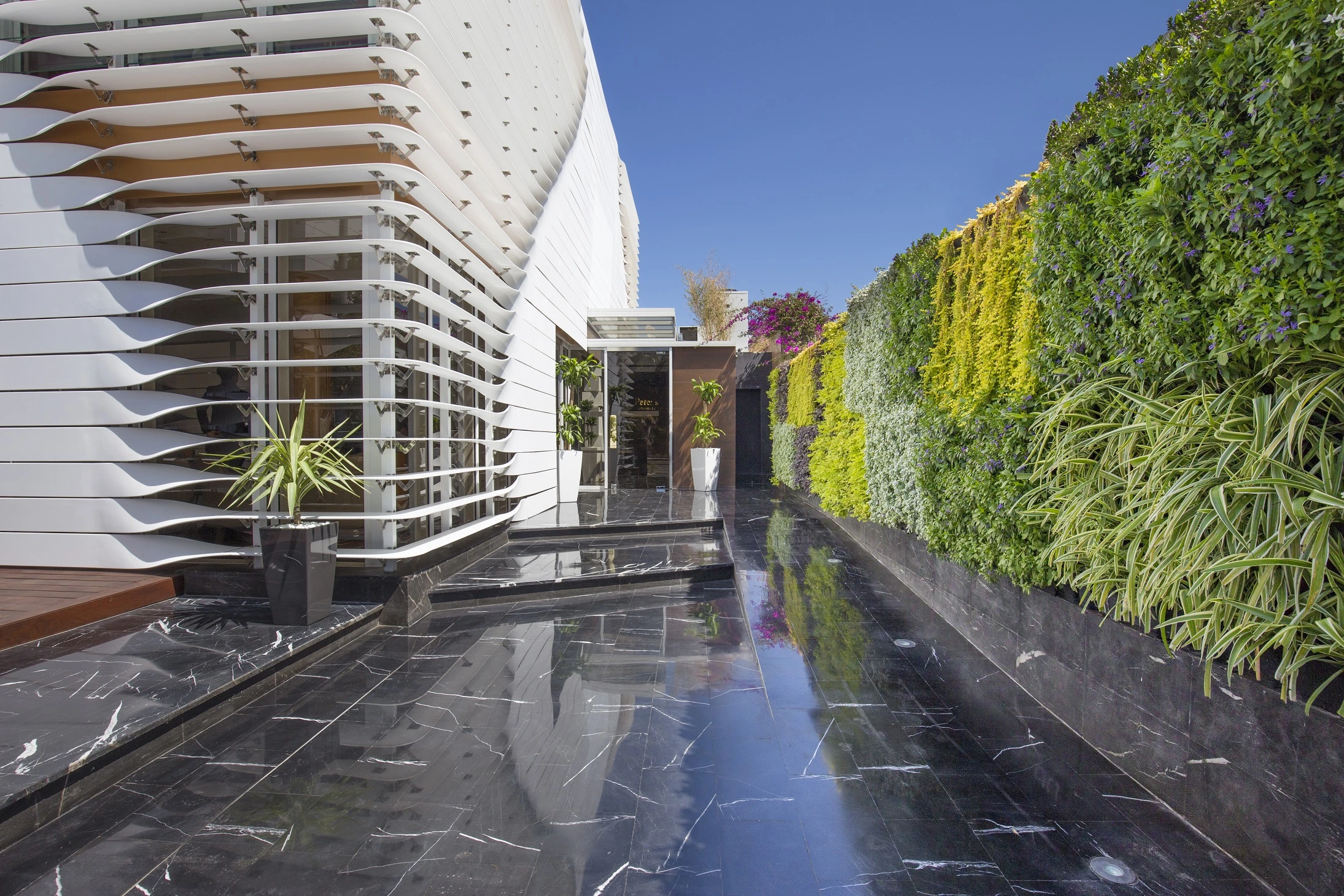 Mur végétal Naturel Extérieur Restaurant Villa GAPI Casablanca