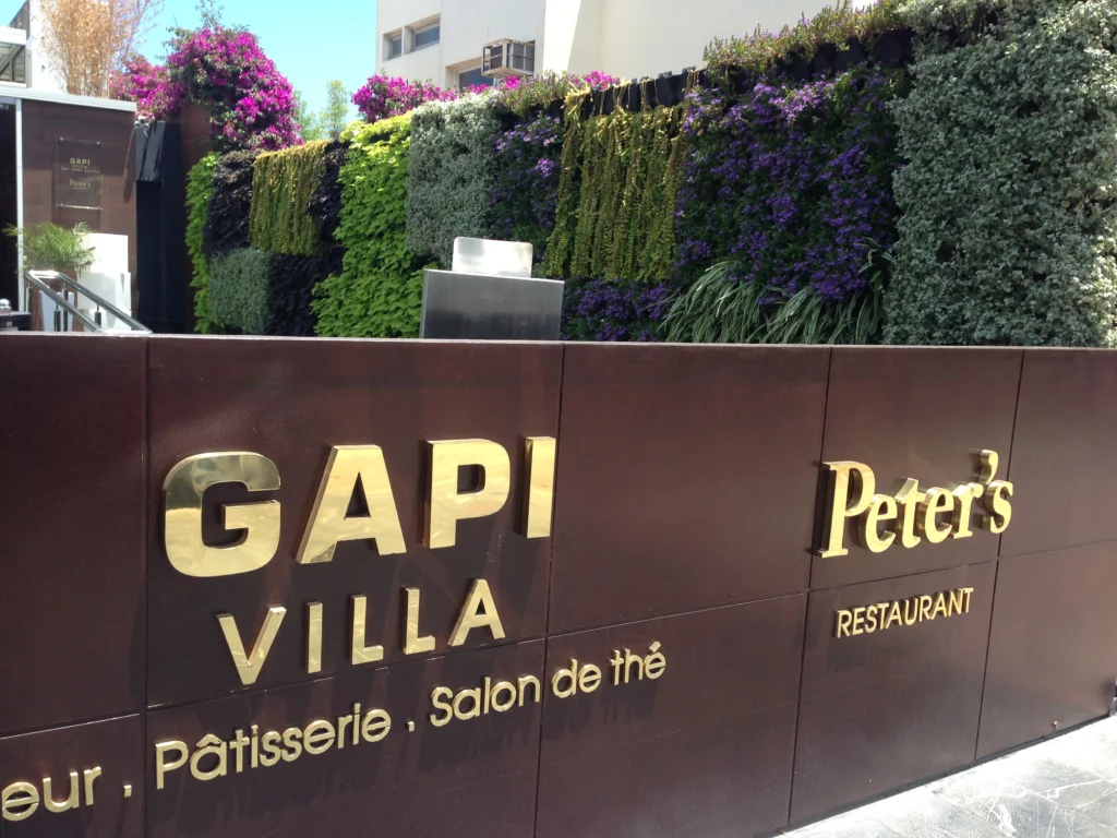 Mur végétal Naturel Extérieur Restaurant Villa GAPI Casablanca