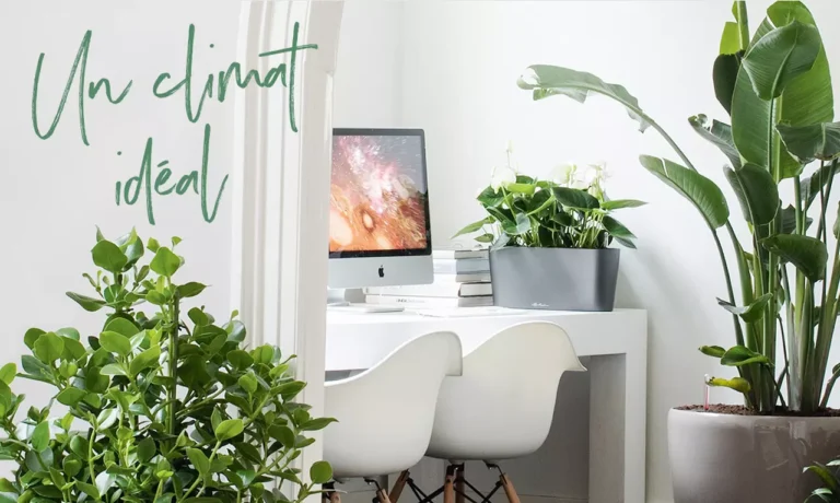 newsletter astuce conseil