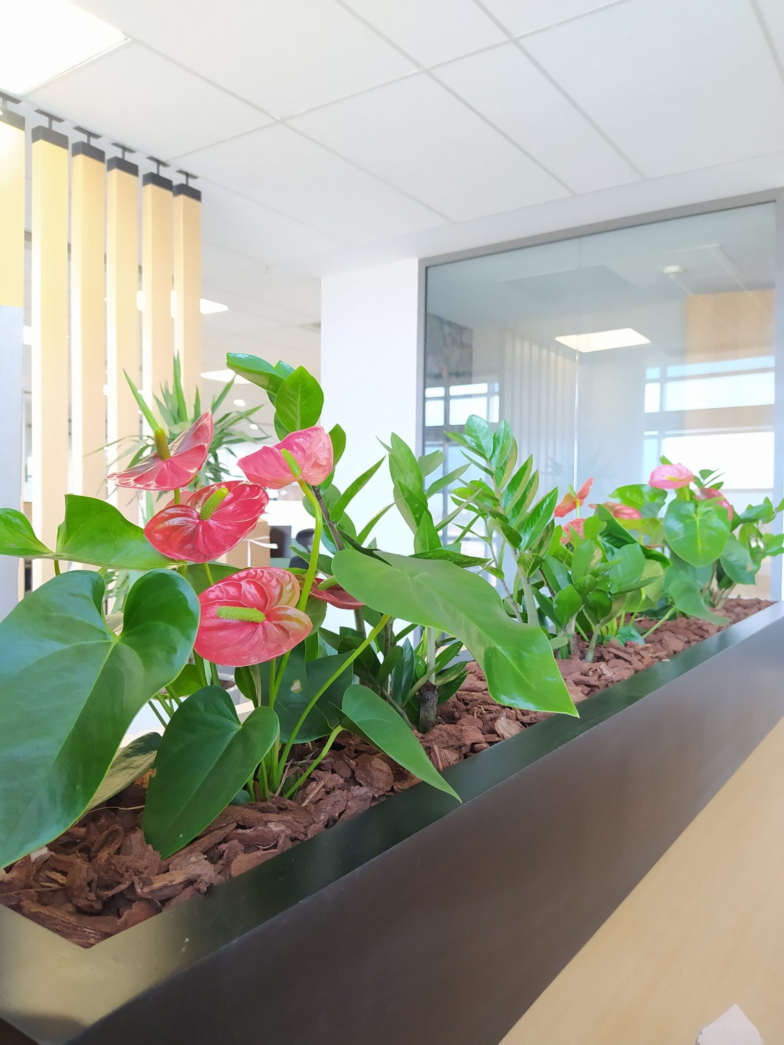 Pot avec système arrosage